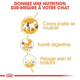 Royal Canin Siamese Adult 2 Kg